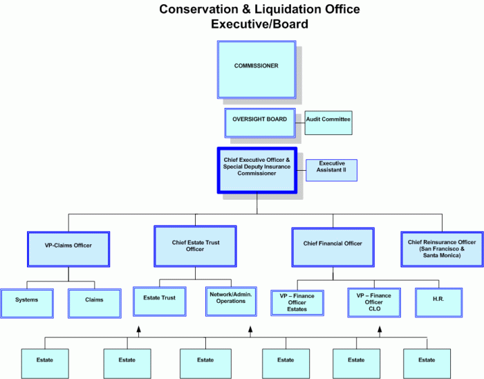 Organizational Structure